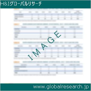 グローバルリサーチ調査レポートのイメージ
